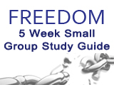 Freedom Study Guide