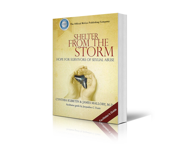 sheletfromthestormLEADERSGUIDE - Robert McGee