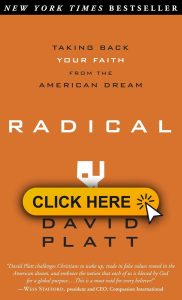 03. Book Cover Photoshop Template 33 182x300 - Radical: Taking Back Your Faith from the American Dream