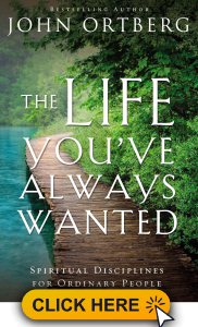 03. Book Cover Photoshop Template 59 182x300 - The Life You’ve Always Wanted Book Review