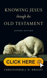 03. Book Cover Photoshop Template 66 182x300 - Knowing Jesus through the Old Testament Book Review